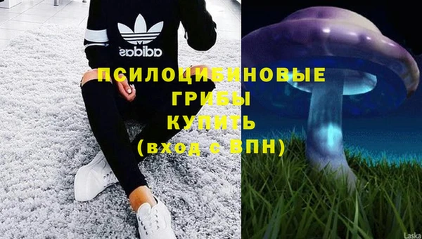 амф Балахна