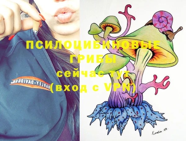 дмт Баксан