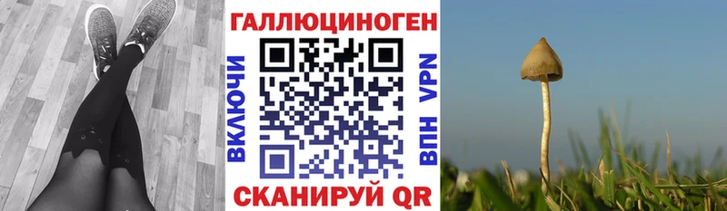 Галлюциногенные грибы Magic Shrooms  Гремячинск 